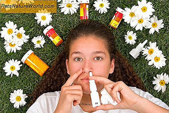 Allergier Sin Sinusallergi
