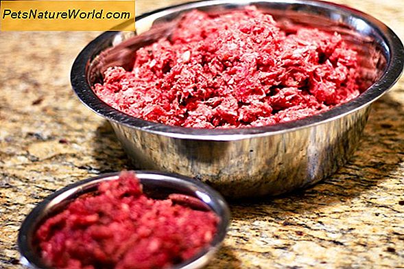 Raw Dog Food Diet Anbefalinger