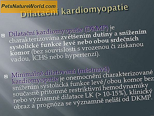 Symptomy plicní kardiomyopatie