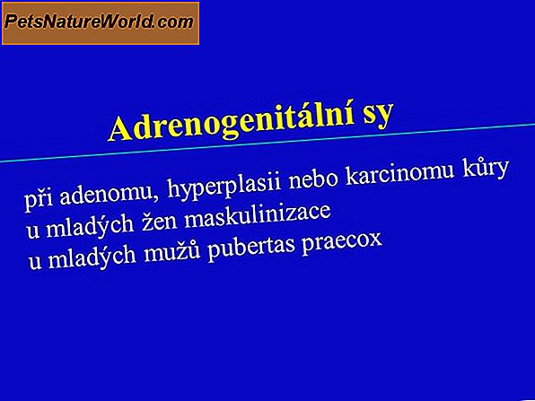 Addisonova nemoc (Hypoadrenokorticismus)