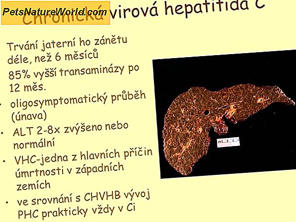 Aktiv kronisk hepatitis hos hunde