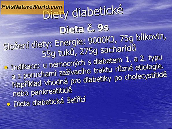 Diabetická dieta pro psy