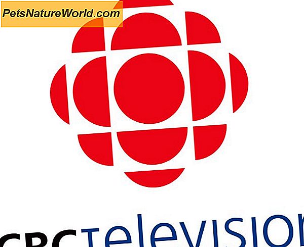 CBC-blodprøven for hunde forklaret