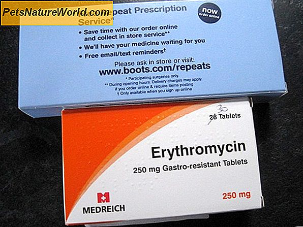 Erythromycin pro psy