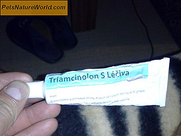 Triamcinolon acetonid pro psy