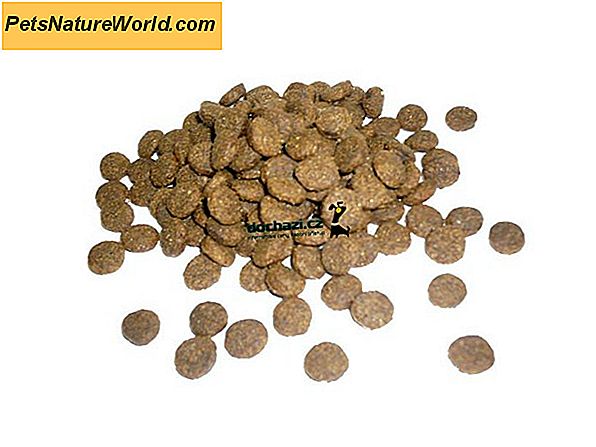 Cat Food Hairball Formula Products