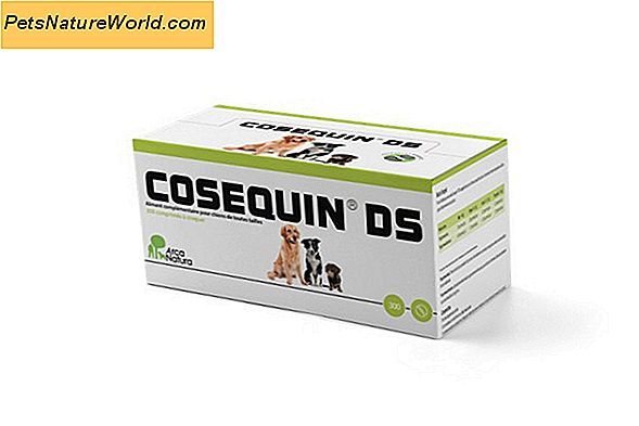 Cosequin: Wspólny suplement dla kotów