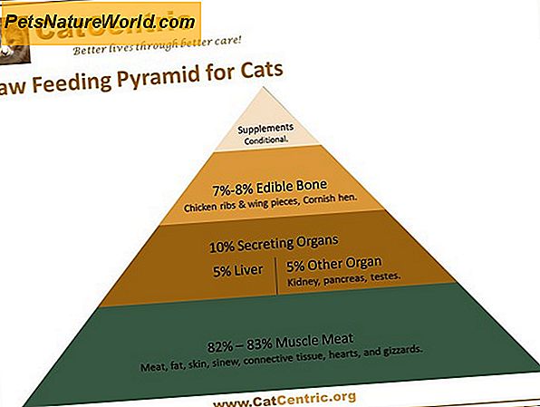 Tolke Cat Food Nutrition Information