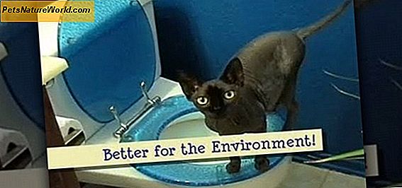 Eco-Friendly Cat Litter Produktai