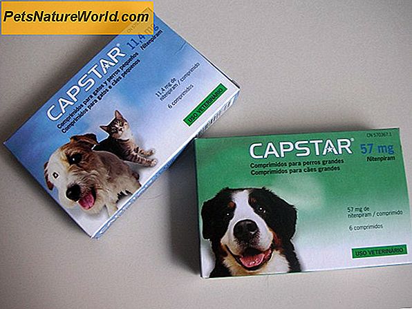 Comfortis Loppemedicin til hunde