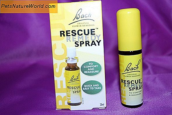 Bach Rescue Remedy for hunde