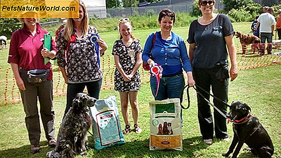 Pet Dog Training Association Ressurser
