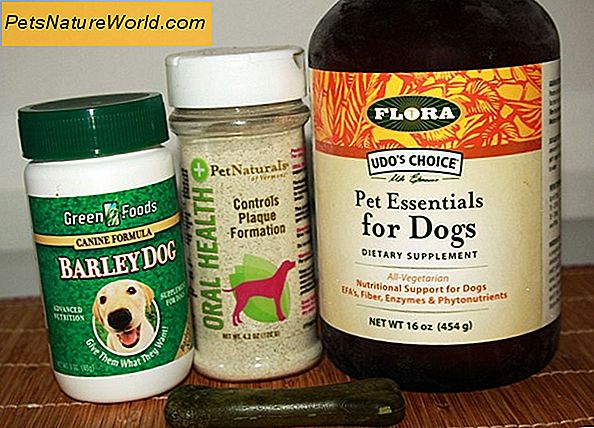 Hund Vitamin Supplement Toxizität
