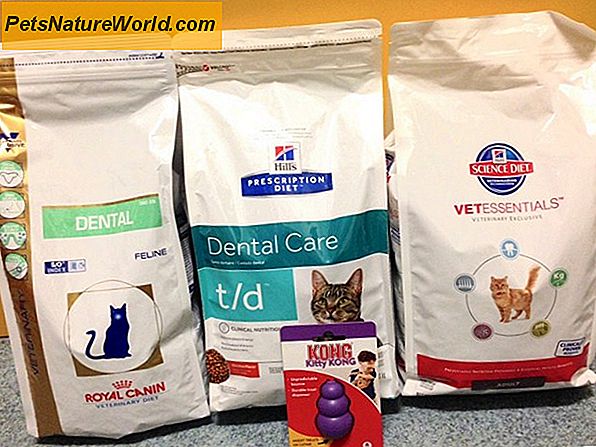 Alimenti per gatti con dieta dentale