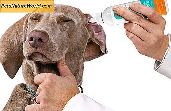 Natural Dog Ear Wash produkter undersökt