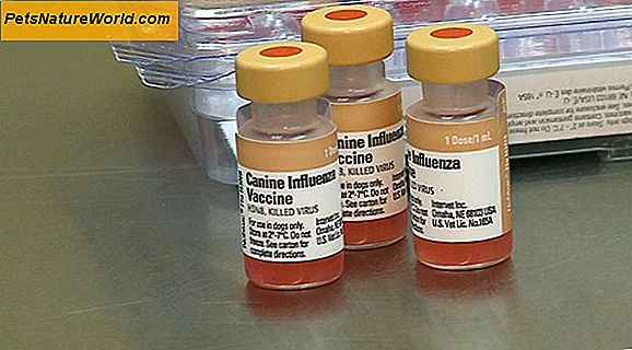 Hundegrippe-Impfstoff