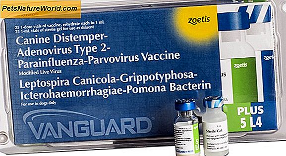 Parvovirus-Impfstoff-Wirksamkeit untersucht
