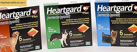 Heartgard voor honden