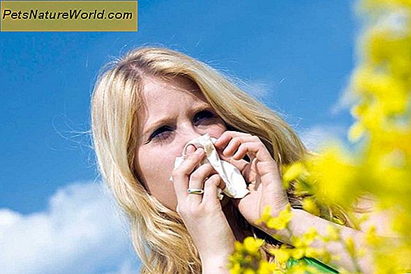 ŠUnys ir alergijos: prevencijos ir gydymo patarimai