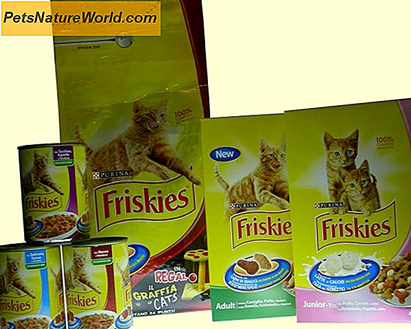 Nurodykite sveikiausią Cat Food Brand