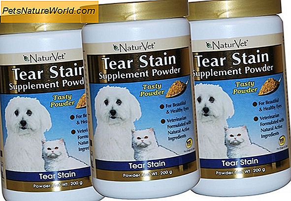 Cat Tear Stain Removal