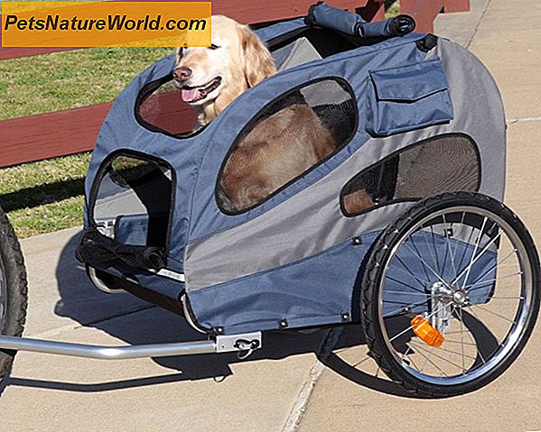 Accessori bici per cani