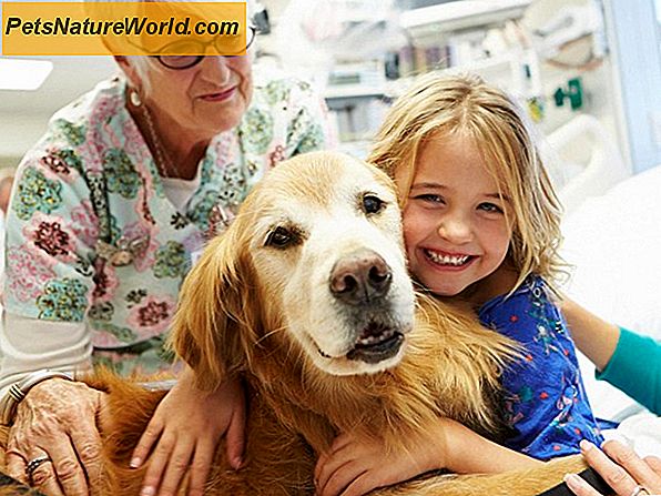 Terapia di cani per bambini