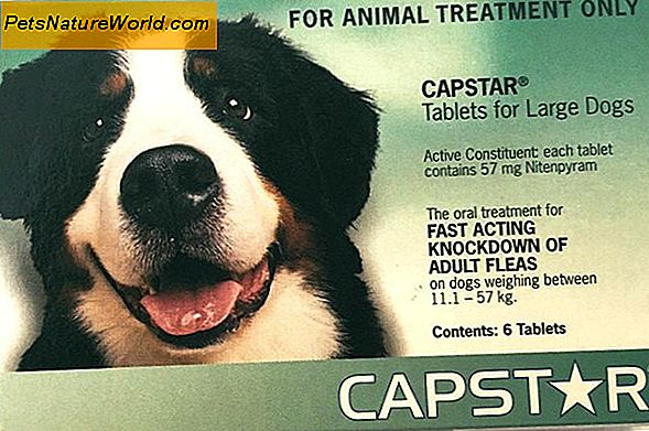 Capstar Flea Control per cani