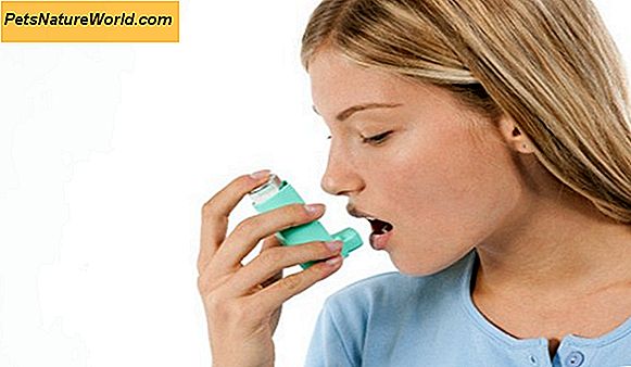 Sintomi dell'asma canino