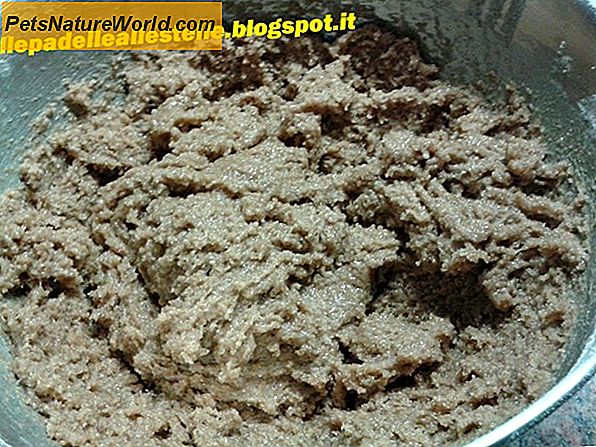 Uso di pasta di farina d'avena per la pelle secca dei cani