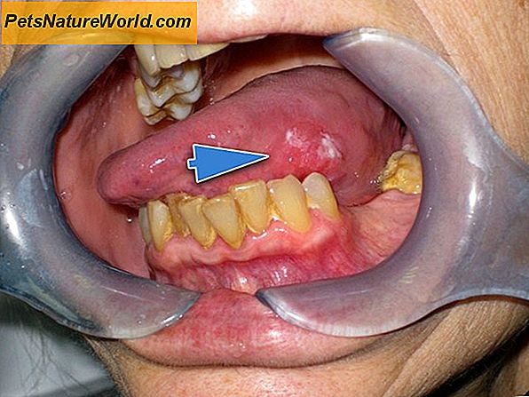 Diagnosi del virus del papilloma orale canino