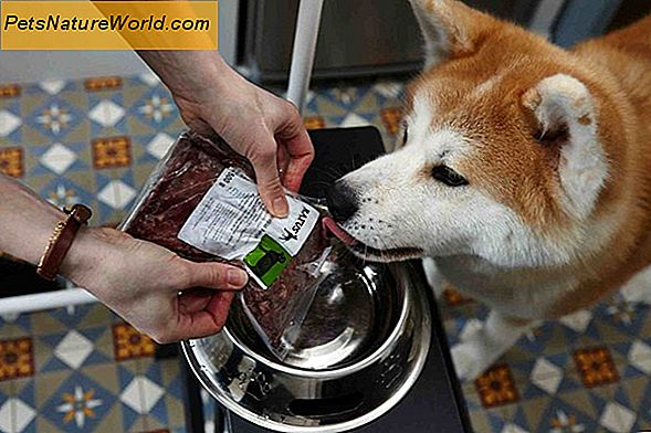 BARF (biologiškai tinkamas žaliavinis maisto produktas) dietos šuniukams