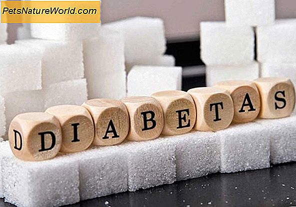 Diabeto kačių perdozavimo pavojus Per daug insulino