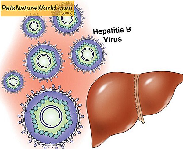 Besmettelijke hepatitis bij honden