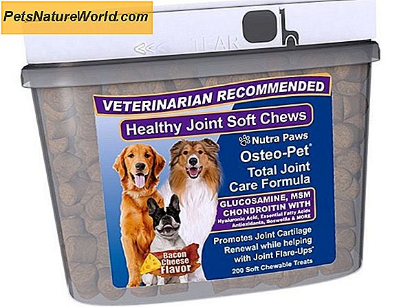 Chewable Glucosamine Chondroïtine voor honden