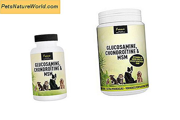 Glucosamine voor katten