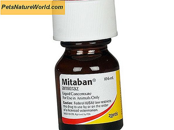 Mitaban Dip-behandelingen voor Demodectic Mange