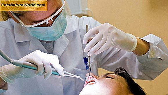 Tannpleie for tannhelse: Et 5-trinns program