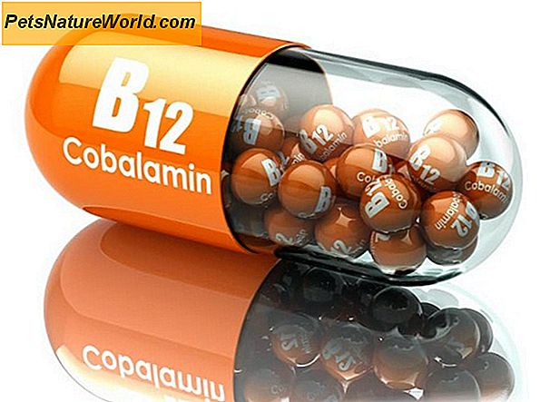 B12 Vitamin for hunder