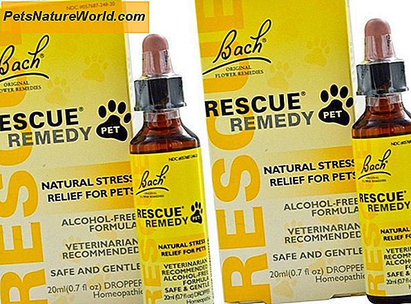 Bach Rescue Remedy for Dogs