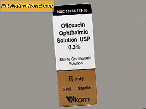 Ofloxacin Otic Solution for Dogs