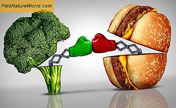 Dieta i odżywianie