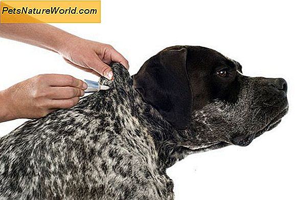 All Natural Tick Prevention dla psów
