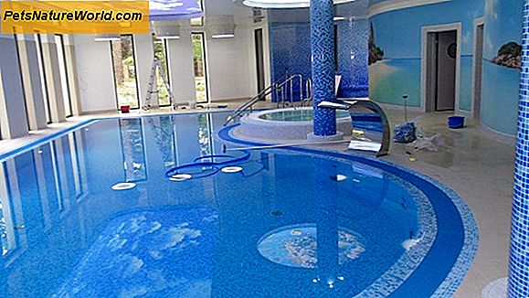 Цанине хидротерапијски базени за кућну употребу