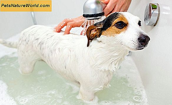 Itchy Dog Skin Relief z hydrokortyzonem