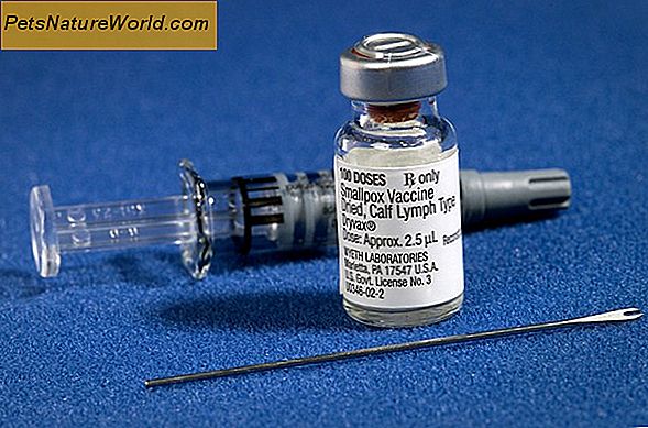 Szczepionka przeciwko wirusowemu zapaleniu wątroby typu