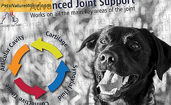 Canine Joint Support med glukosamin, kondroitin komplex och hyaluronsyra