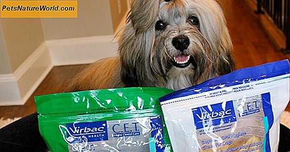 Enzymatic Oral Hygiene Chews för hundar