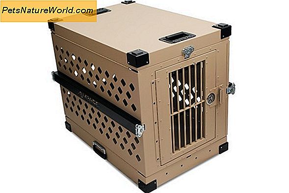 Dog Travel Crates: Krav på flygplansresor