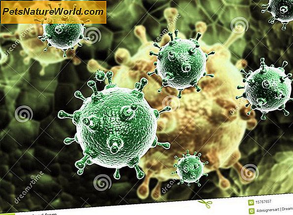 Influensa / sjukdom